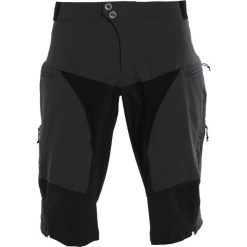 Spodenki i szorty męskie: Gore Wear ALL MOUNTAIN SHORTS Krótkie spodenki sportowe terra grey