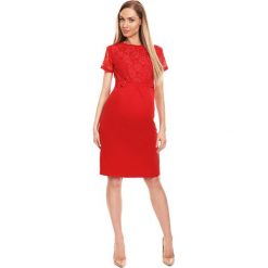 Sukienka ciążowa wizytowa czerwona. Czerwone sukienki damskie e-margeritka.pl, s, w koronkowe wzory, z tkaniny, eleganckie, bez kołnierzyka, moda ciążowa, bez rękawów, midi, dopasowane. Za 109,99 zł.