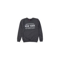 Bluza nierozpinana chłopięca. Szare bluzy chłopięce rozpinane TXM. Za 29,99 zł.