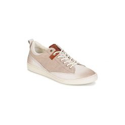Buty Kickers SANTA FE. Brązowe trampki męskie marki Kickers, bez wzorów, bez zapięcia. Za 351,20 zł.
