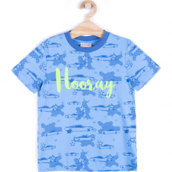 Koszulka. Niebieskie t-shirty chłopięce marki BASIC BOY, z napisami, z bawełny, z długim rękawem. Za 24,90 zł.