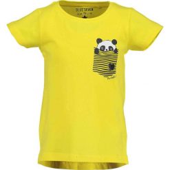 Blue Seven - T-shirt dziecięcy 92-128 cm. Żółte bluzki dziewczęce Blue Seven, z aplikacjami, z bawełny, z okrągłym kołnierzem, z krótkim rękawem, krótkie, bez kaptura. Za 49,90 zł.
