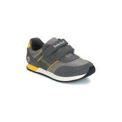 Buty Dziecko Timberland City Scamper Ox. Szare trampki chłopięce marki Timberland. Za 239,00 zł.