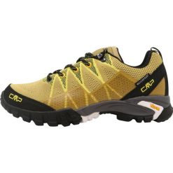 Buty trekkingowe męskie: CMP TAURI SHOE WP Obuwie hikingowe senape