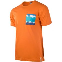 Koszulki sportowe męskie: AQUAWAVE Koszulka męska aquarion celosia orange r. XXL