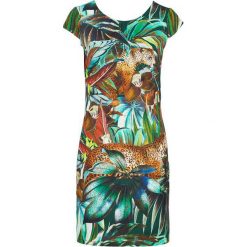Smashed Lemon Sukienka zielony we wzory female zielony/ze wzorem 44 (XXL). Zielone sukienki damskie Smashed Lemon, na co dzień, s, bez wzorów, z dzianiny, z okrągłym kołnierzem, bez rękawów, proste. W wyprzedaży za 119,00 zł.