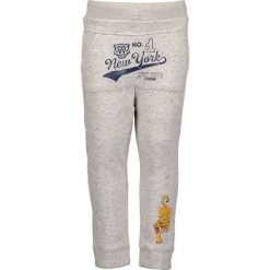 Blue Seven - Spodnie dziecięce 92-128 cm. Szare spodnie chłopięce Blue Seven, bez wzorów, z bawełny, sportowe. W wyprzedaży za 59,90 zł.