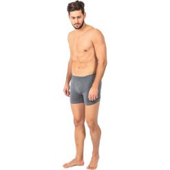 Bokserki męskie: Freenord Bokserki męskie MerinoTech Grey r. M