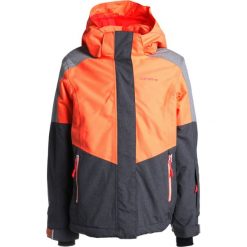 Icepeak HAIDE JUNIOR Kurtka narciarska abricot. Pomarańczowe kurtki narciarskie męskie marki Icepeak, z poliesteru. W wyprzedaży za 377,10 zł.