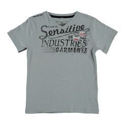 T-shirty chłopięce: Koszulka w kolorze szarym