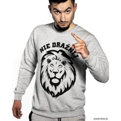 Bluza Nie drażnij Lwa ( Męska ). Szare bluzy męskie Pakamera, m, z nadrukiem, z bawełny, bez kołnierzyka, bez rękawów, bez kaptura. Za 129,00 zł.
