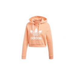 Bluzy damskie: Bluzy adidas Bluza z kapturem Trefoil Cropped