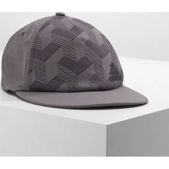 Czapki damskie: adidas Performance PANEL Czapka z daszkiem grey/black