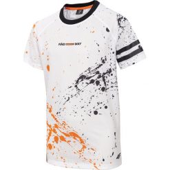 T-shirt chłopięcy (122-164) JTSM408 - multikolor. Szare t-shirty chłopięce 4F JUNIOR, bez wzorów, z poliesteru, bez rękawów. Za 59,99 zł.
