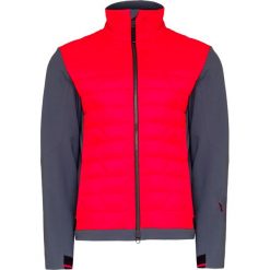Kurtka BOGNER CAMARO. Szare płaszcze męskie Bogner, bez wzorów, z syntetyku, bez kaptura. Za 1190,00 zł.