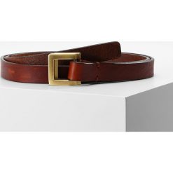 Paski damskie: Royal RepubliQ COIL SLIDE Pasek cognac