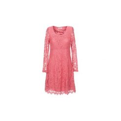 Sukienki: Sukienki krótkie Cream ANNEMON LACE
