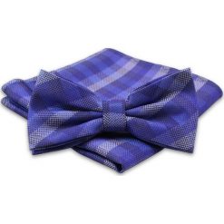 Niebiesko-Fioletowa Mucha Męska -ALTIES- z Taką Samą Poszetką, w Kratkę MUALTS0446. Niebieskie muszki męskie Alties, na imprezę, w paski, eleganckie. Za 40,00 zł.
