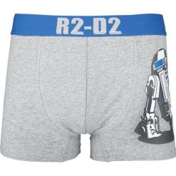 Bokserki męskie: Star Wars R2-D2 Bokserki szary/niebieski