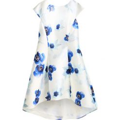 Sukienki hiszpanki: Chi Chi London Curvy GALINA Sukienka letnia multicolor