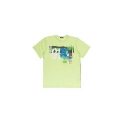 T-shirty męskie: t-shirt męski gładki