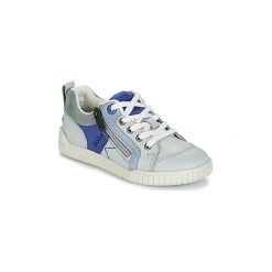 Buty Dziecko Kickers WINCHESTER. Szare trampki chłopięce Kickers. Za 311,20 zł.