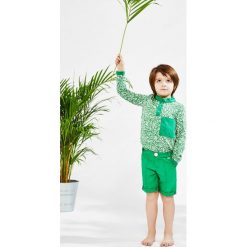 Polo Green Leaves. Zielone t-shirty chłopięce z długim rękawem Pakamera. Za 69,00 zł.
