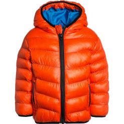 Kurtki chłopięce: Outfit Kids BUBBLE JACKET Kurtka przejściowa red