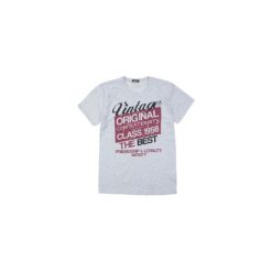 T-shirt męski. Szare t-shirty męskie marki TXM, m. Za 19,99 zł.