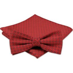 Modna Mucha Męska - Alties - Czerwona w Groszki MUALTS0250. Czerwone muszki męskie Alties, na imprezę, w paski, eleganckie. Za 40,00 zł.