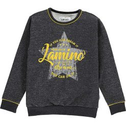 Bluza w kolorze antracytowym. Szare bluzy niemowlęce lamino, z nadrukiem, z dresówki, bez rękawów, bez kaptura. W wyprzedaży za 52,95 zł.