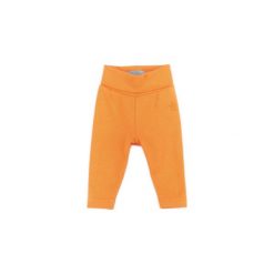 Spodnie niemowlęce: sigikid Girls Leginsy sun orange