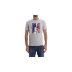 T-shirty z krótkim rękawem Woolrich WYTEE0405 FLAG TEE. Szare t-shirty męskie Woolrich, s, bez wzorów, bez kołnierzyka, krótkie. Za 109,39 zł.