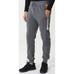 Szare Spodnie Dresowe Eraring. Szare spodnie męskie Born2be, xxl, z nadrukiem, z dzianiny, długie. Za 59,99 zł.