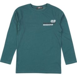 TXM Bluzka chłopięca 134 ZIELONY. Zielone t-shirty chłopięce TXM, bez wzorów, bez rękawów. Za 16,99 zł.