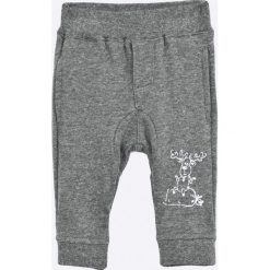 Blukids - Spodnie dziecięce 56-74 cm. Szare spodnie chłopięce marki Blukids, z bawełny. W wyprzedaży za 34,90 zł.