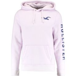 Bejsbolówki męskie: Hollister Co. LOGO Bluza z kapturem purple