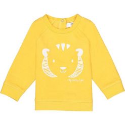 Bluzy niemowlęce: Bluza z lwem – 0-24 mies.