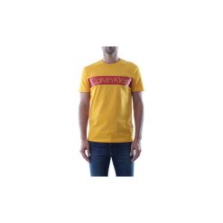 T-shirty z krótkim rękawem Calvin Klein Jeans K10K103006 COTTON LOGO STRIPE. Czerwone t-shirty męskie Calvin Klein Jeans, s, bez wzorów, z jeansu, bez kołnierzyka, krótkie. Za 122,52 zł.