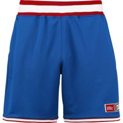 Bermudy męskie: DC Shoes Eglinton Basketball Short Krótkie spodenki niebieski