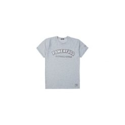 T-shirt męski. Szare t-shirty męskie marki TXM, m. Za 14,99 zł.