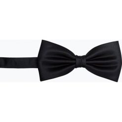 Mc Earl - Muszka męska, niebieski. Niebieskie muszki męskie marki Mc Earl, z satyny, eleganckie. Za 69,95 zł.