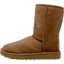 Botki damskie: UGG CLASSIC SHORT II Botki chestnut