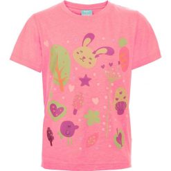 T-shirty chłopięce: Koszulka HAAS KIDS BRIGHT PEACH 134
