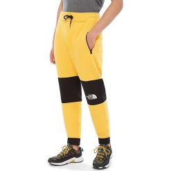 THE NORTH FACE HIMALAYAN > 0A3OD5LR01. Spodnie męskie The North Face, xl, z nadrukiem, z bawełny, klasyczne. W wyprzedaży za 179,99 zł.