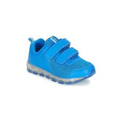 Buty Dziecko BEPPI LOVY. Niebieskie trampki chłopięce marki BEPPI. Za 191,20 zł.