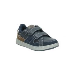 Buty Dziecko Lois 83877. Niebieskie trampki chłopięce Lois. Za 188,86 zł.