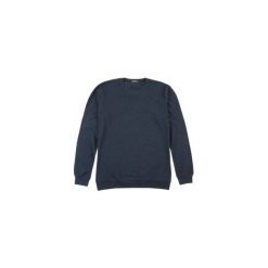 T-shirty męskie: t-shirt długi rękaw męski gładki