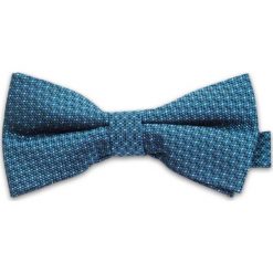 Elegancka mucha Vernon MUVRN0035. Niebieskie muszki męskie Vernon, w paski, eleganckie. Za 29,00 zł.
