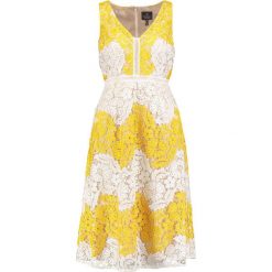 Sukienki: Adrianna Papell Sukienka koktajlowa sunbeam/ivory